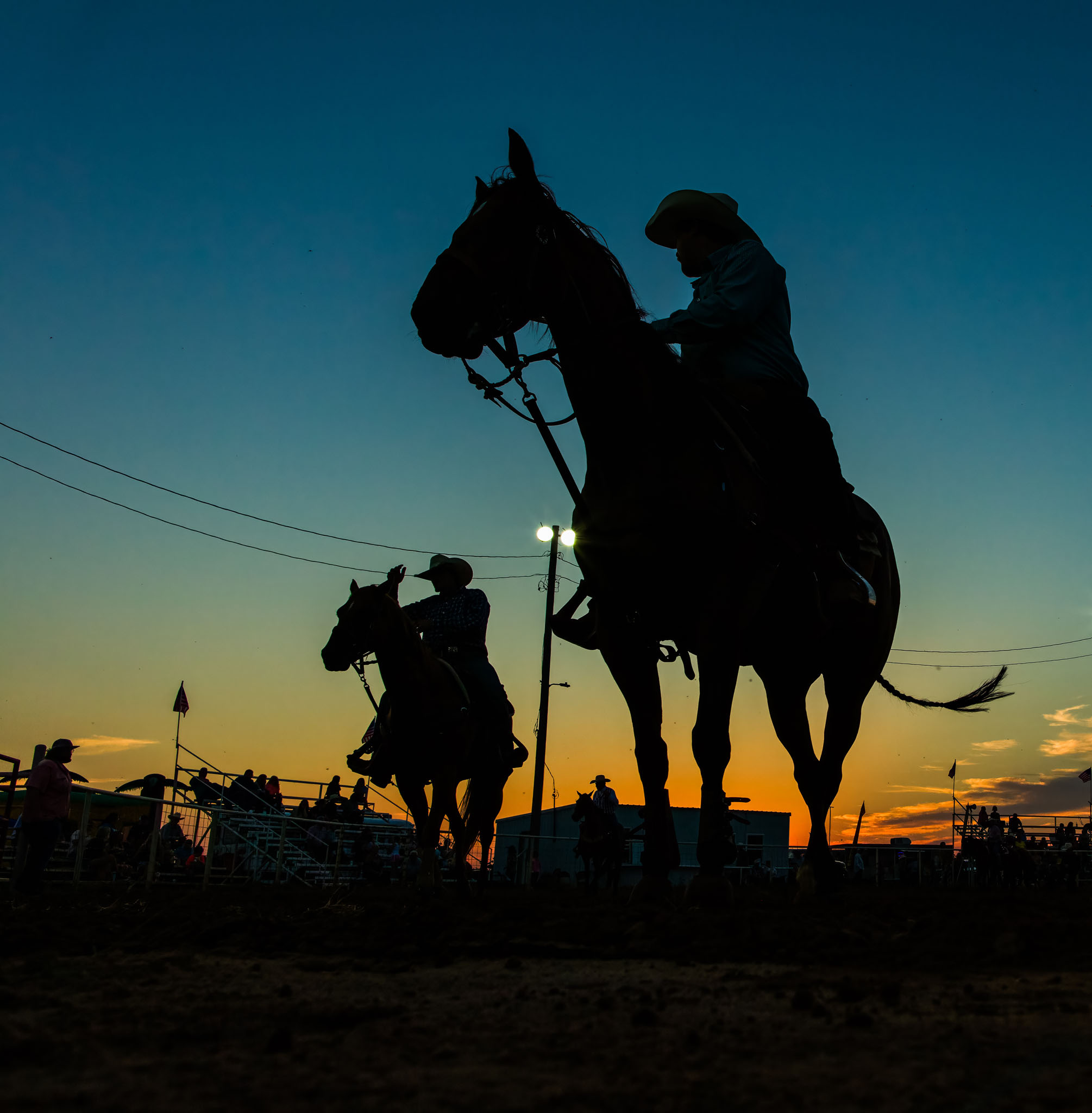 Rider and horse silhouetted against the twilight sky