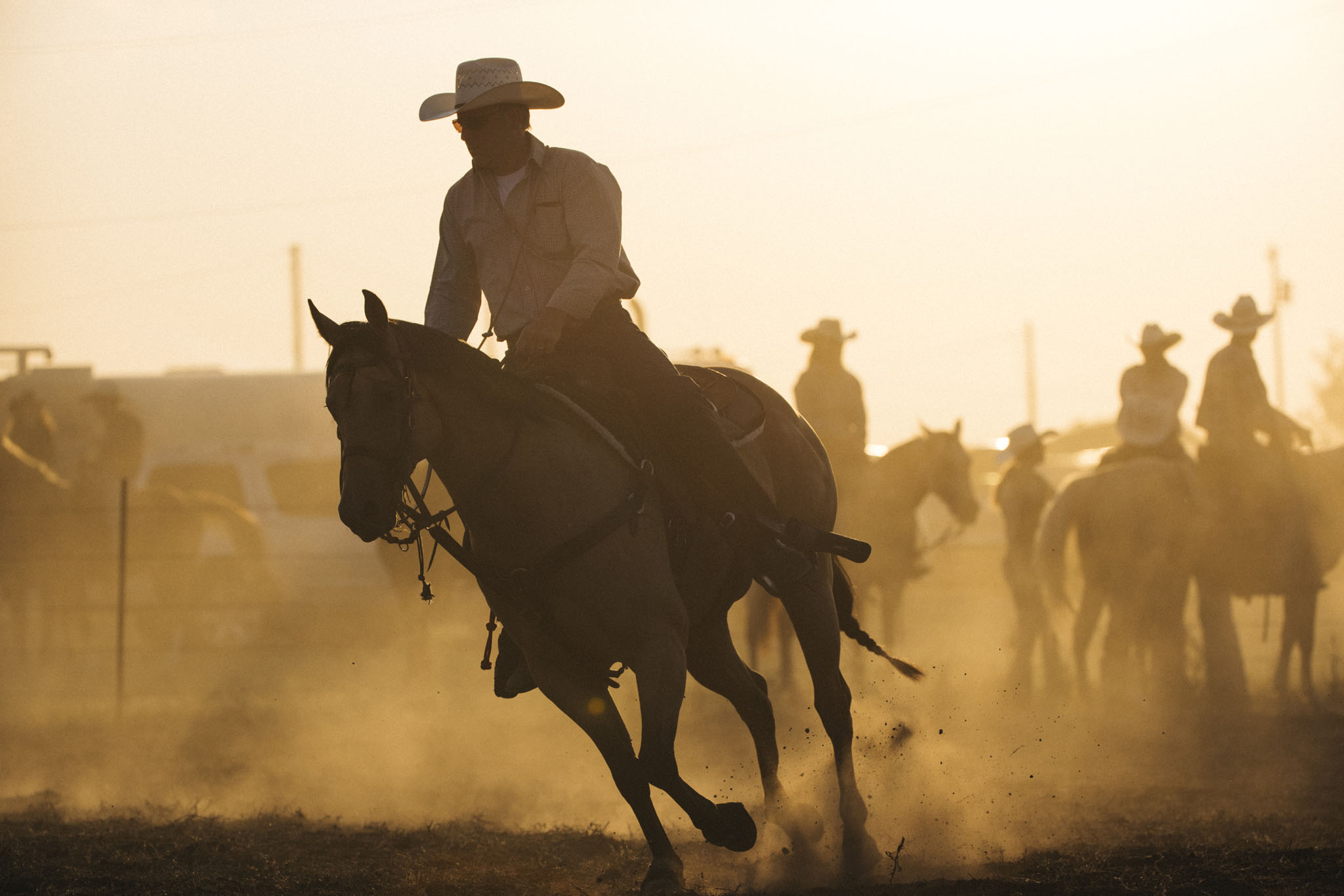 Rider galloping through golden dust