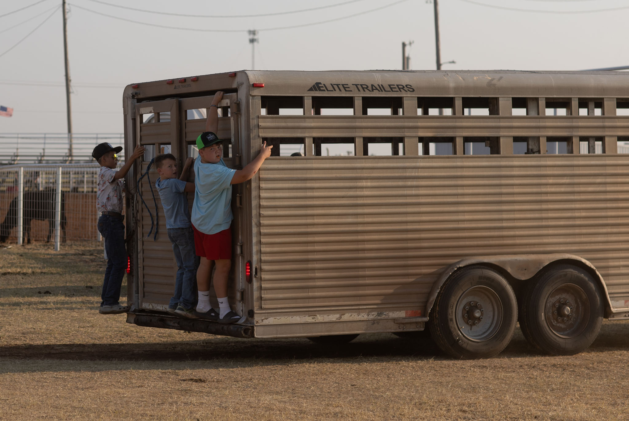 People gathered at the back of a livestock trailer