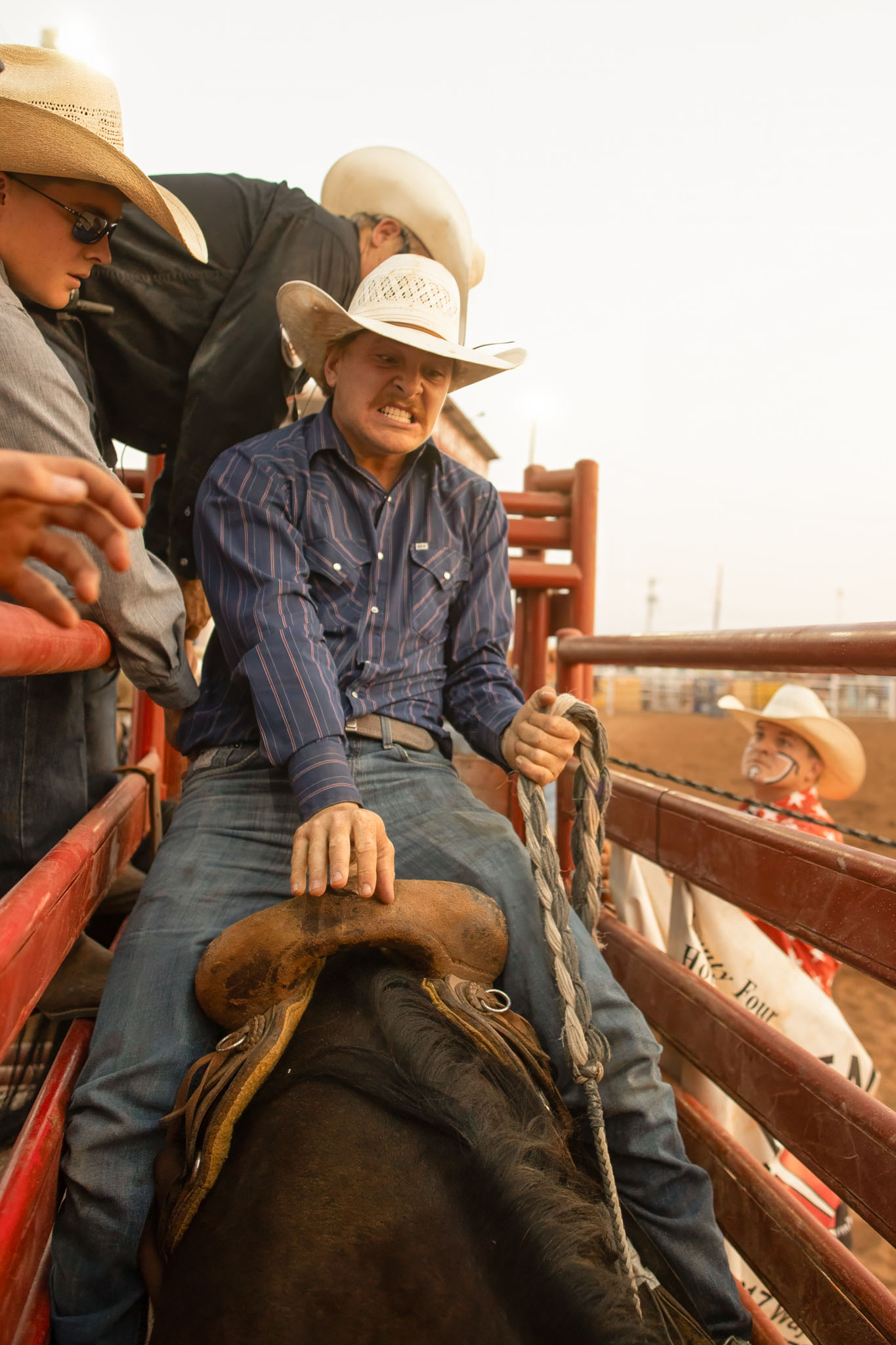 Bull rider settling onto a bull in the chute