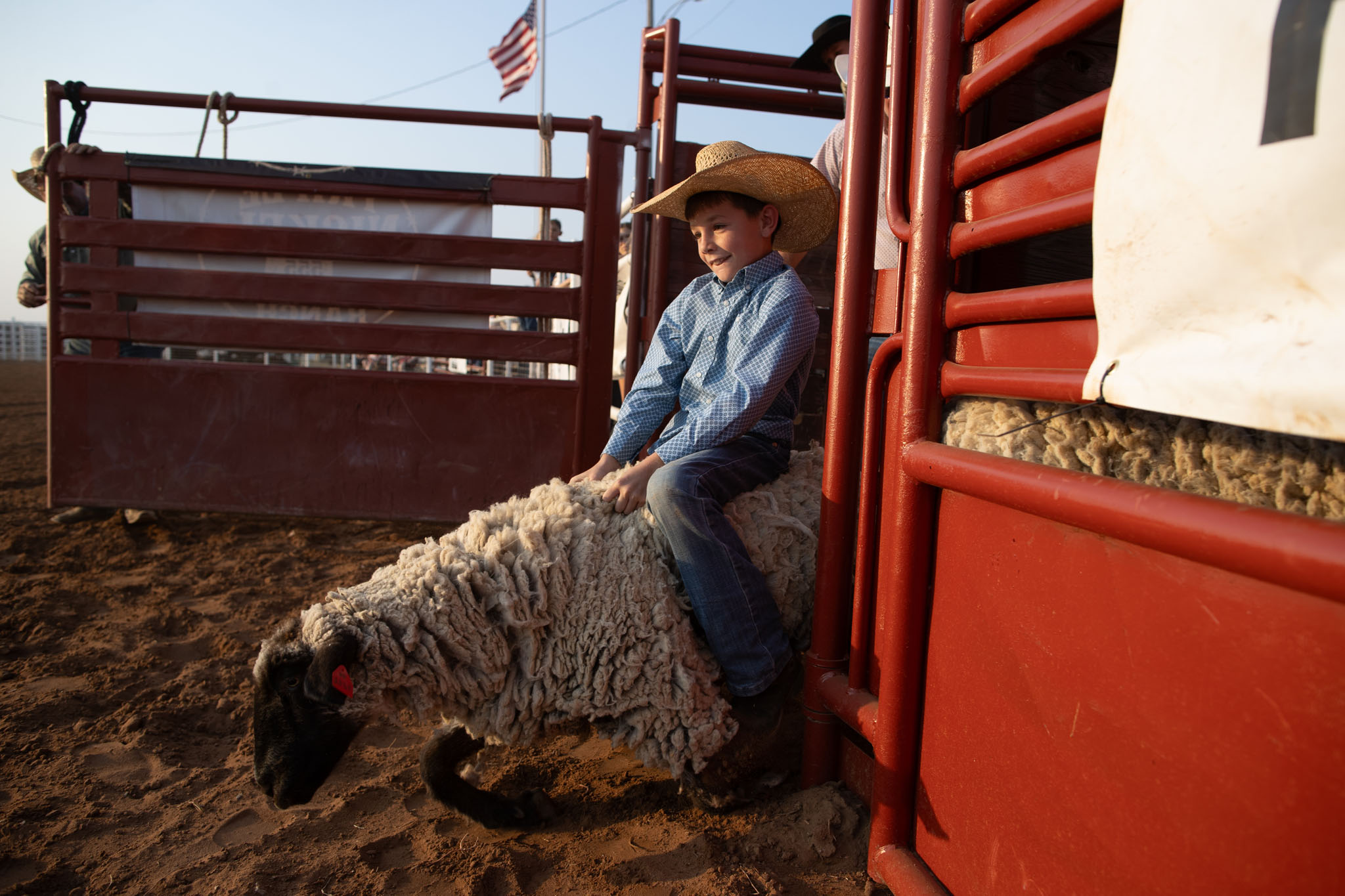 Child holding on to a sheep coming out of the chute in mutton busting