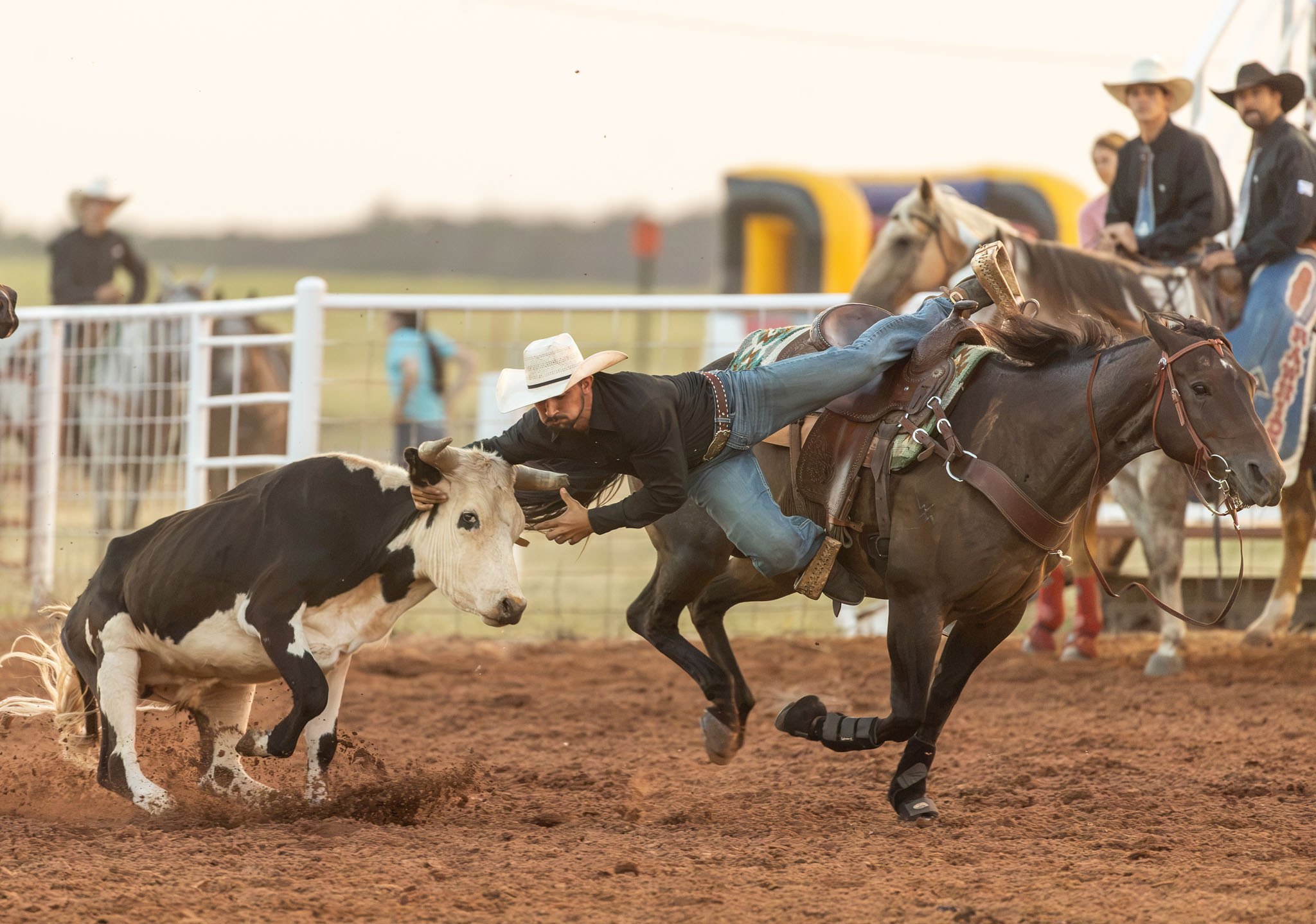 Roper on horseback chasing a calf out of the box