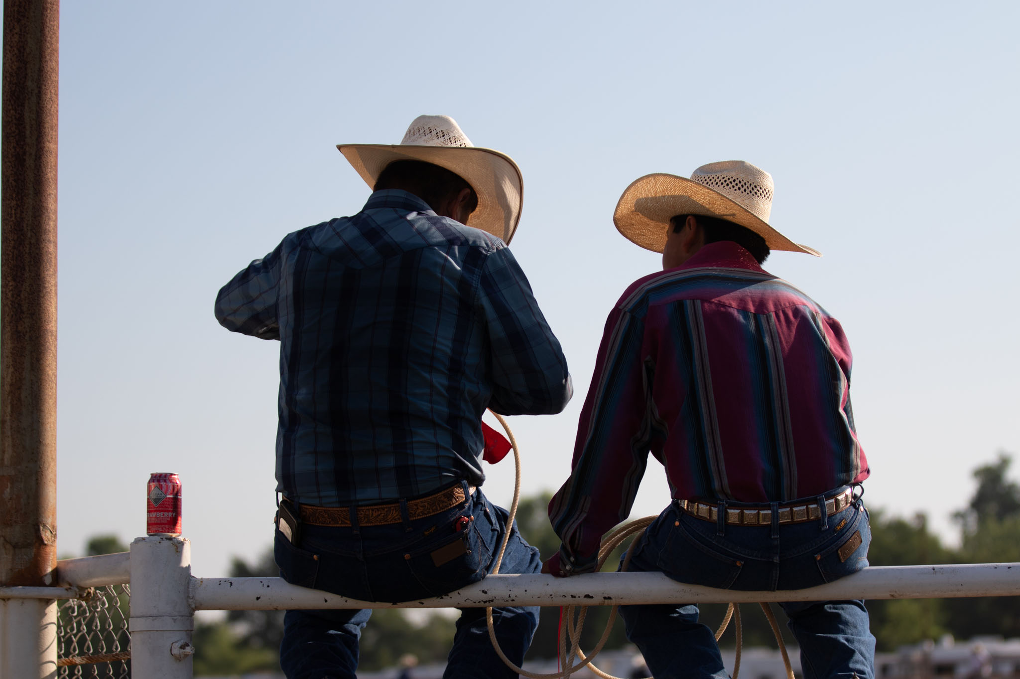 Two cowboys sitting on the arena fence watching the rodeo