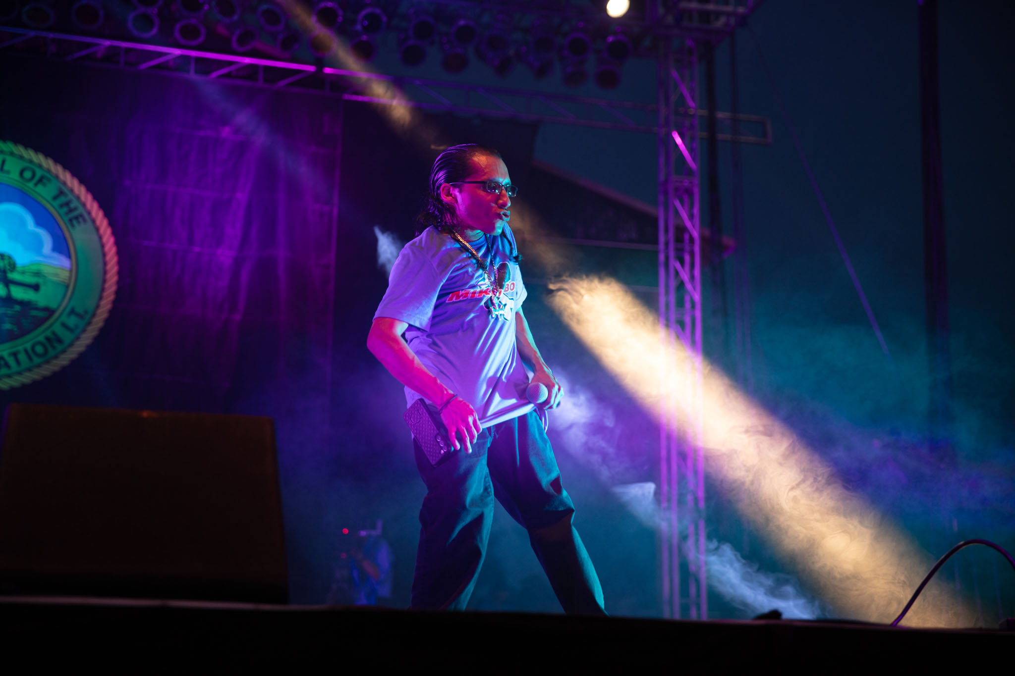Performer on stage under purple and blue lights at a festival concert