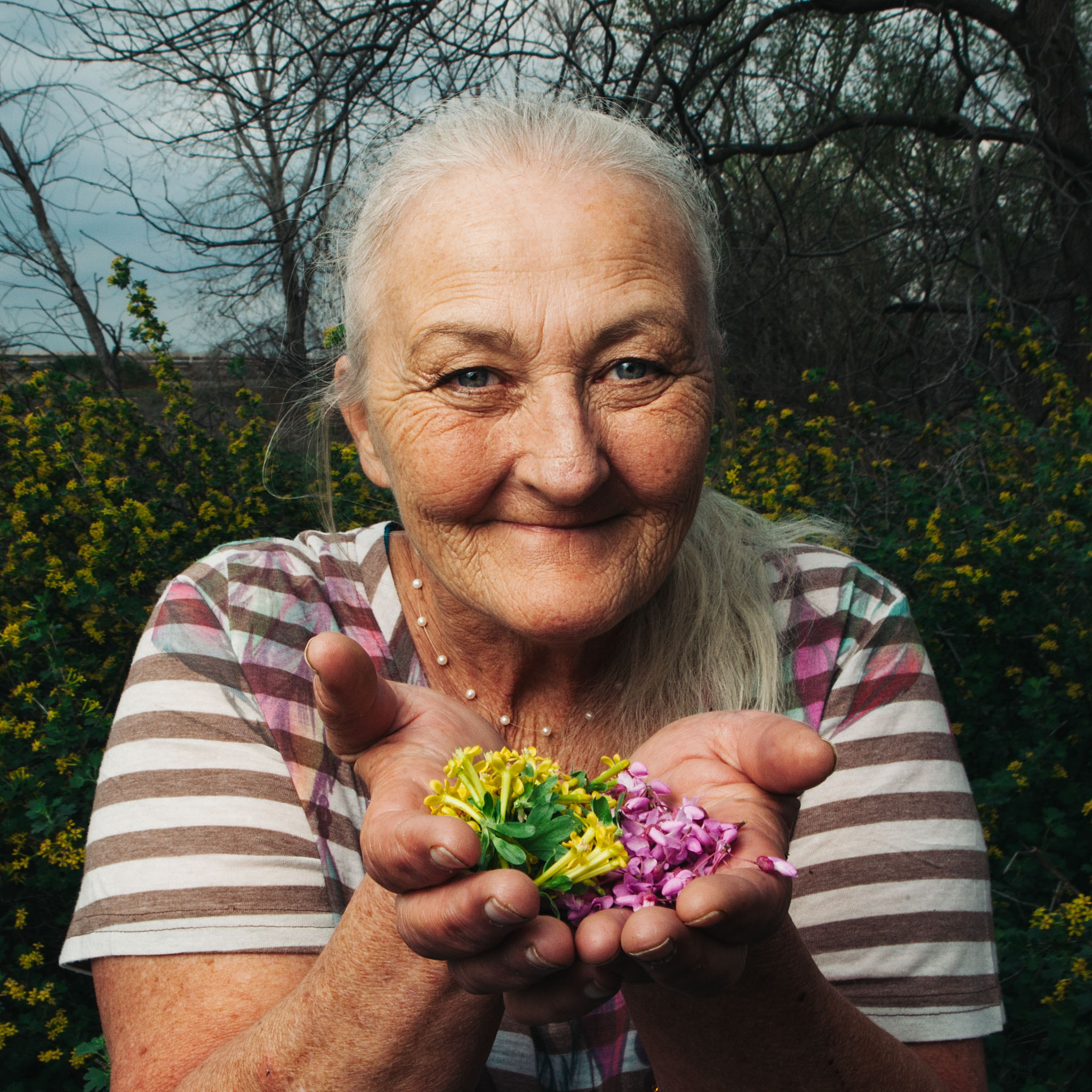 Older woman with long gray hair holding colorful flowers in her cupped hands outdoors