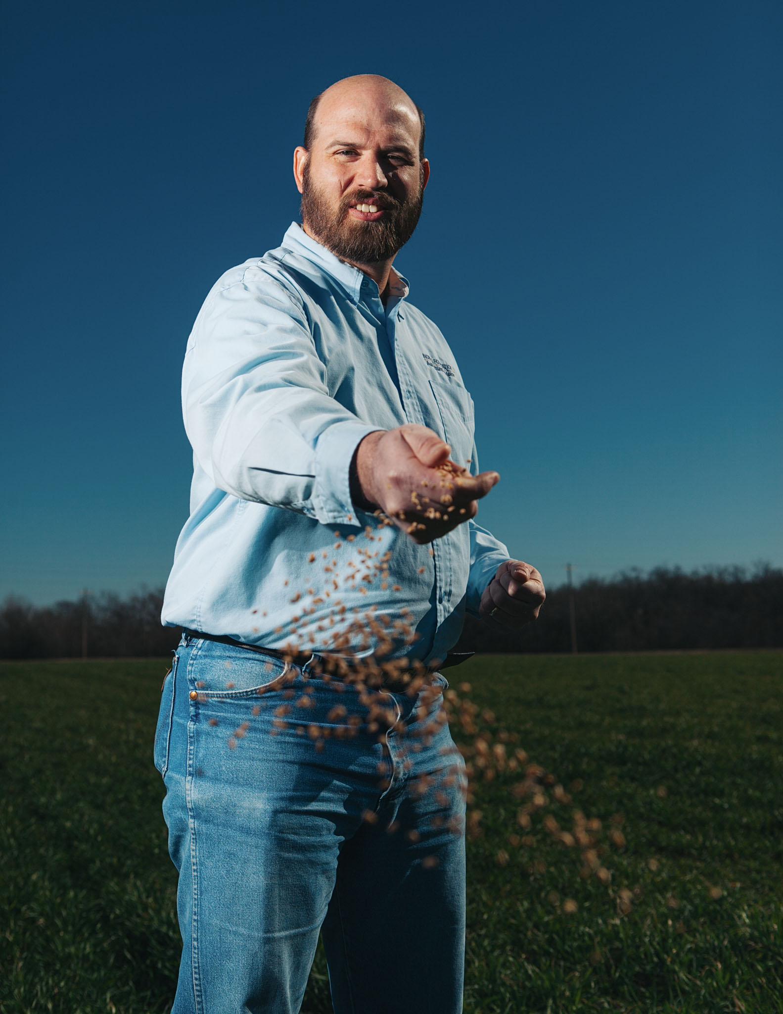 Bearded farmer in a denim shirt scattering seed by hand in a green field at dusk
