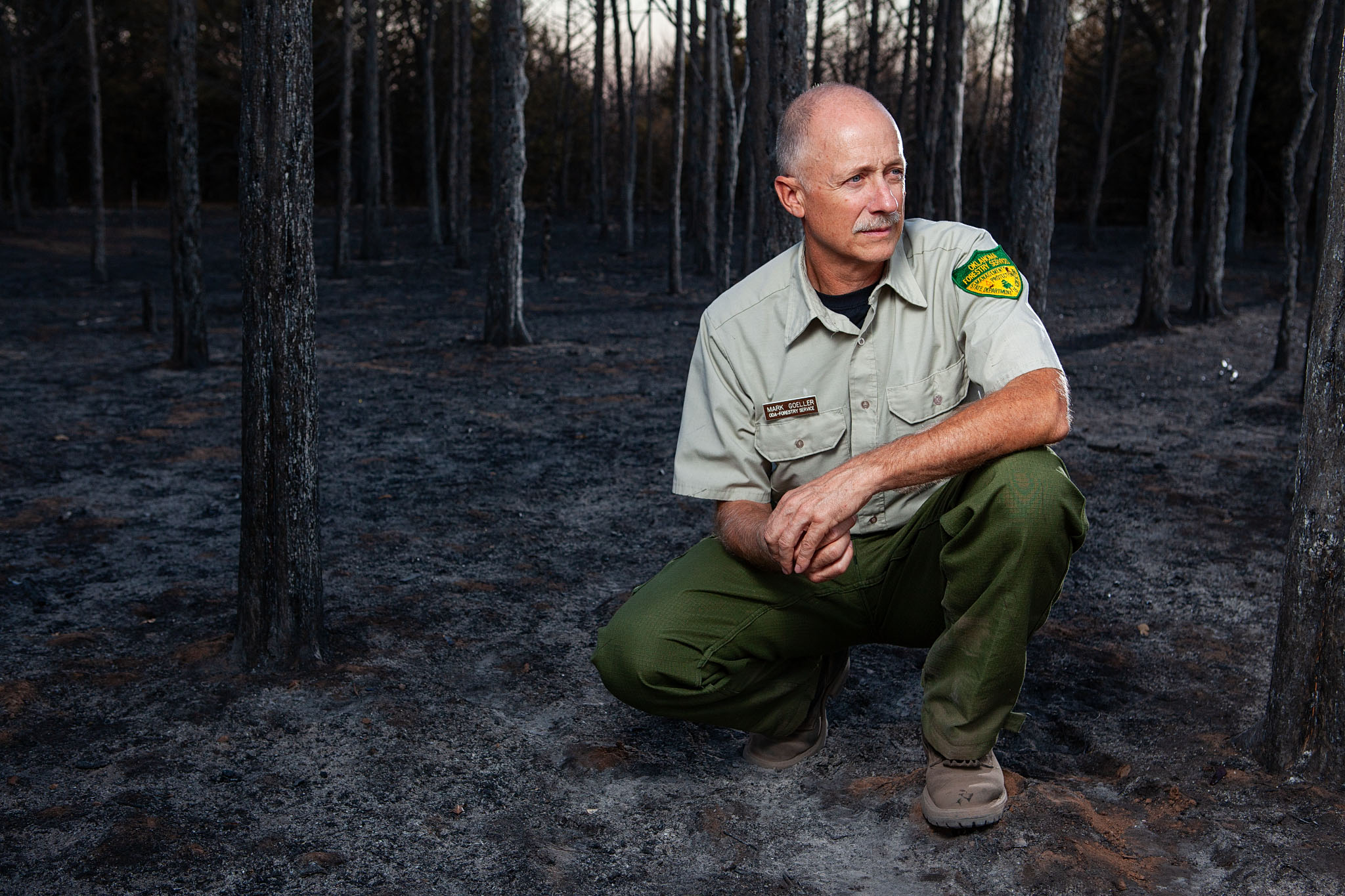 Forestry worker in a green uniform kneeling in a burned pine forest