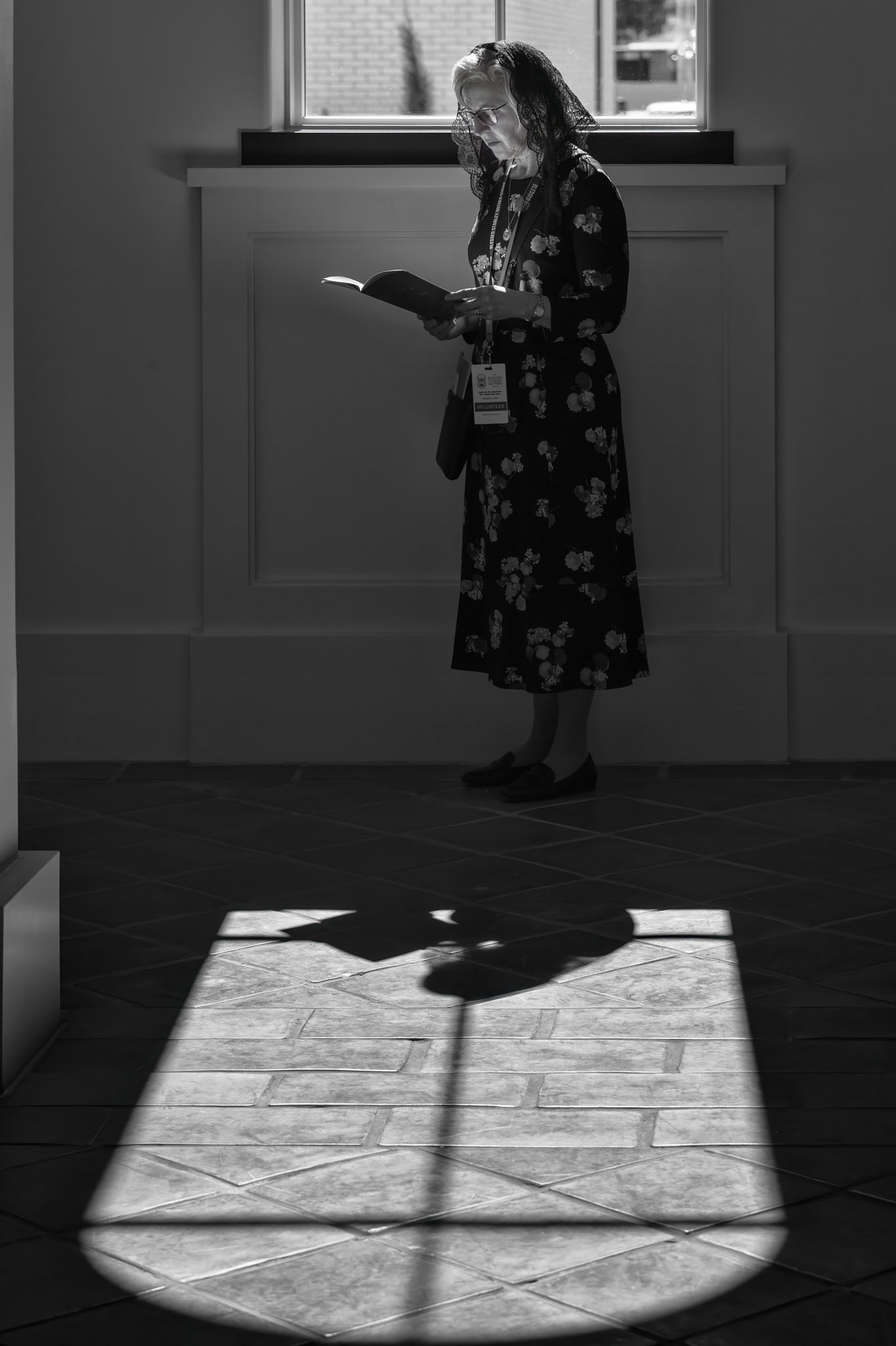 Lector reading in a pool of window light