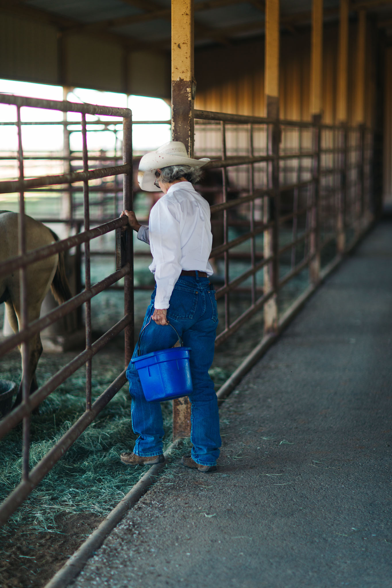 Terry Stuart Forst carrying a blue feed bucket along the horse pens in the barn