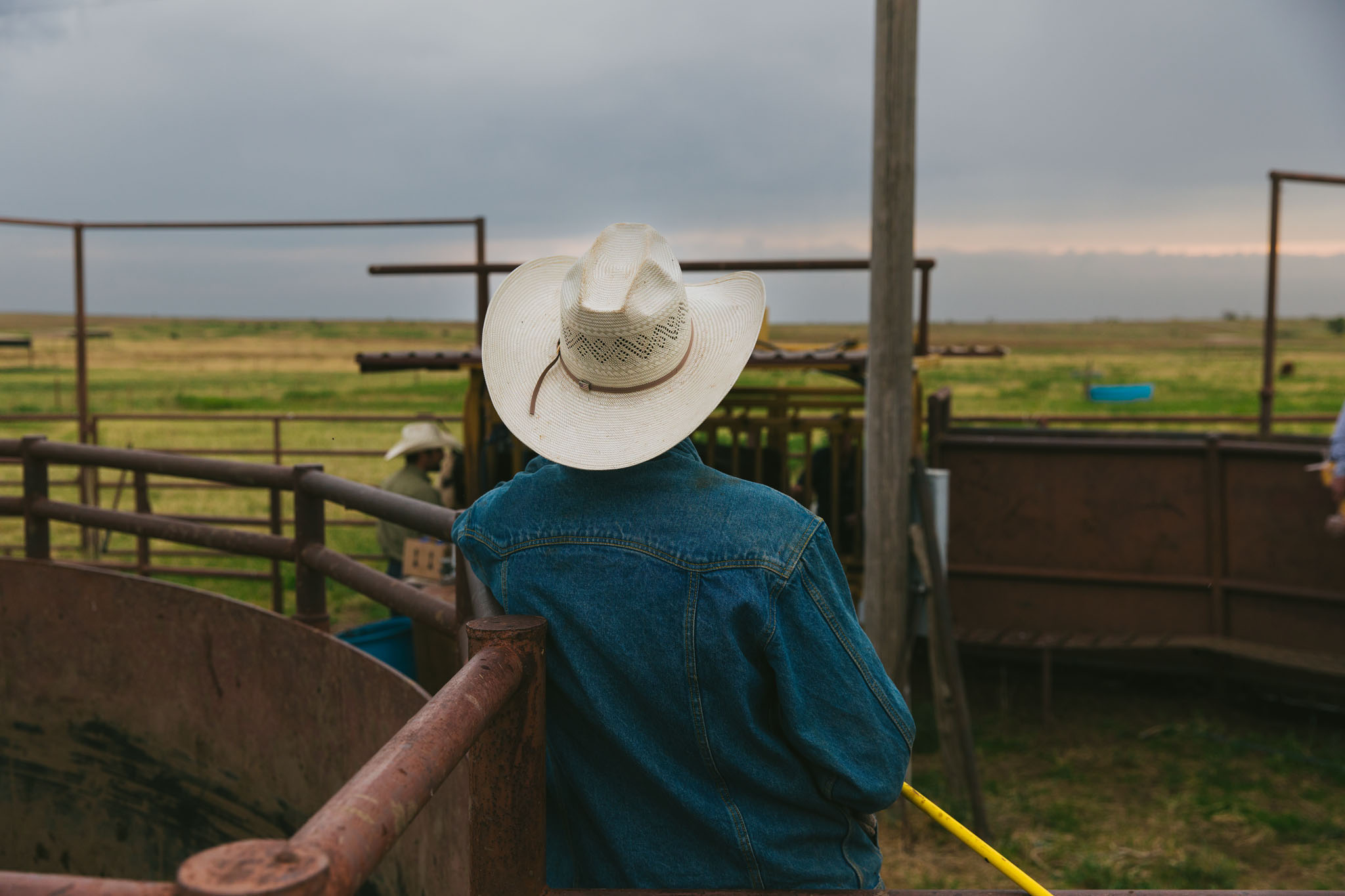 Cowboy in a white hat leaning on a rail in the working pens