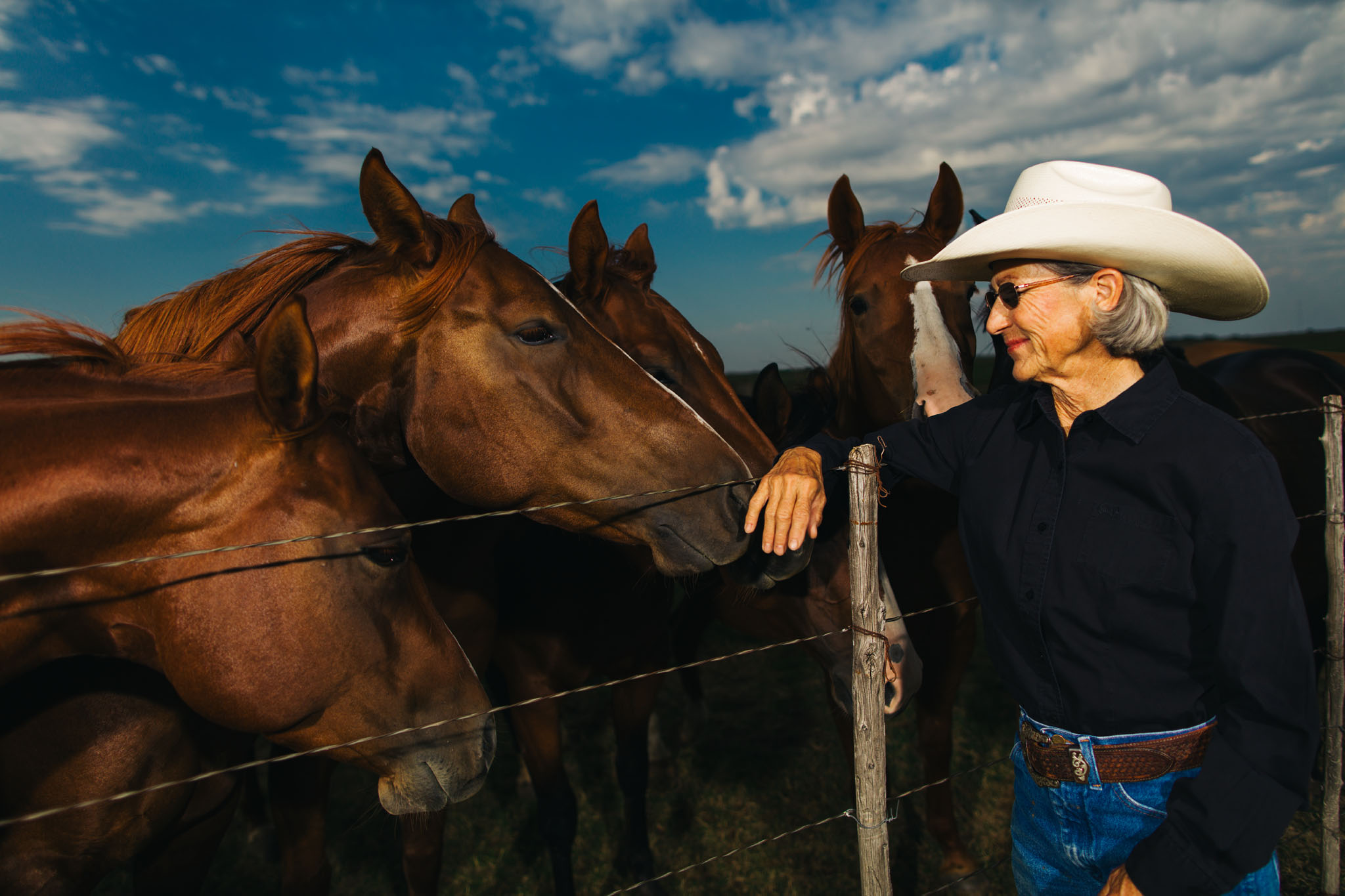 Terry Stuart Forst greeting her horses at the fence line